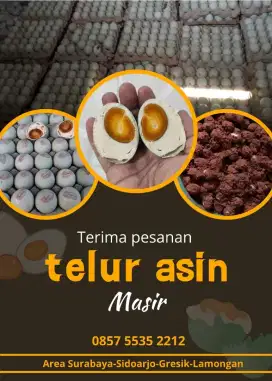 Telor asin masir