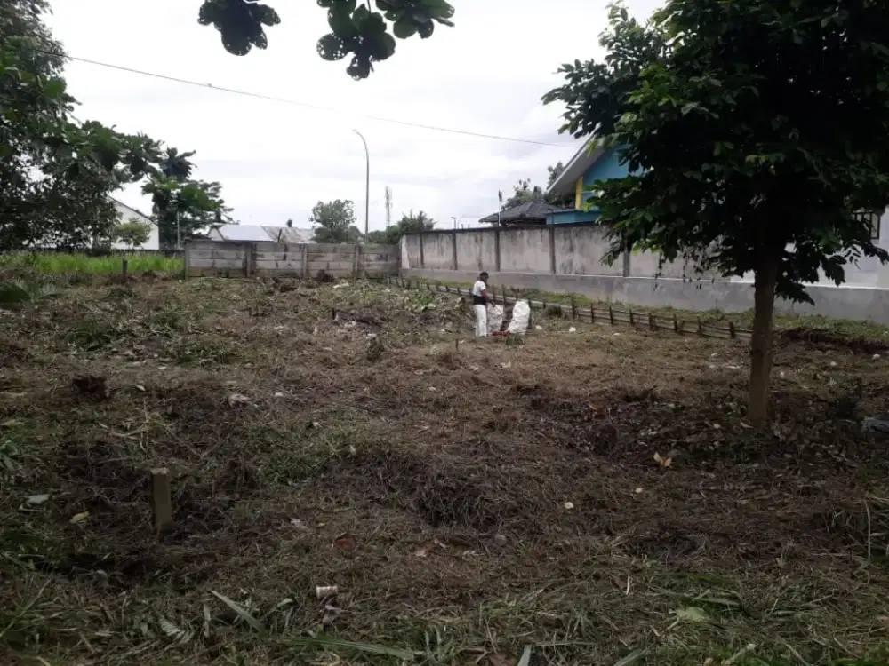 Tanah Murah tengah kota