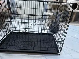 Kandang kucing portable