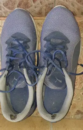 Sepatu Puma Biru