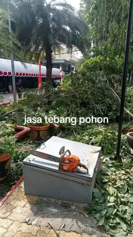 Jasa tebang pohon