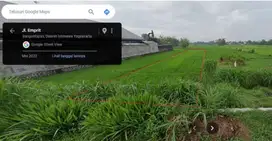 Dijual sawah cocok untuk investasi masa depan