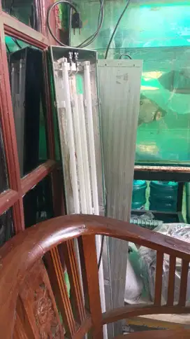 Aquarium arowana