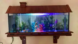 Aquarium Minimalis Dinding