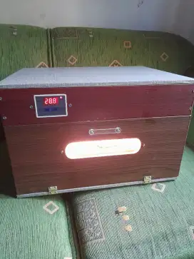 Mesin tetas telur manual dan otomatis
