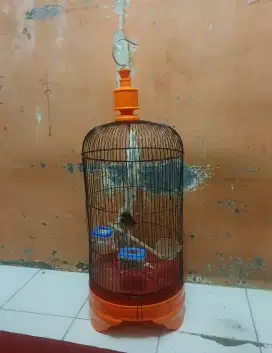 Kandang Burung Lovebird Dll Besi Bulat Diameter 30cm Masih Bagus