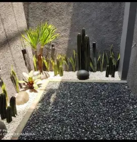 Taman kering minimalis permeter