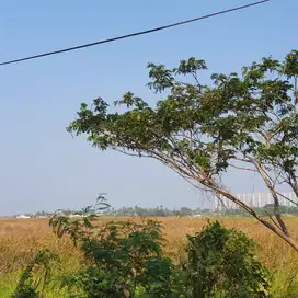 di jual tanah di belakang PIK 2