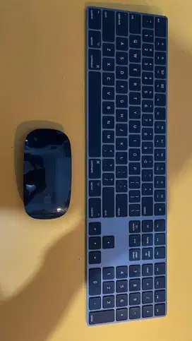 Apple Magic keyboard + magic mouse