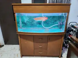 Aquarium ikan akuarium cembung