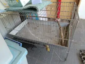 Keramba Mandi Burung