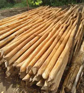 Kayu dolken puspa kupas 5/7 panjang 4m