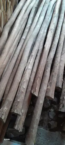 Kayu gelam kalimantan