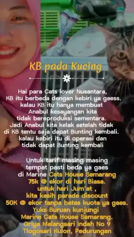 KB Kucing Betina