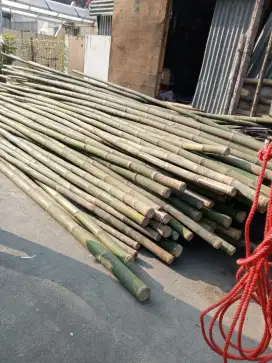 Bambu esteger proyek  ukurn 5,6,7 panjang 6m