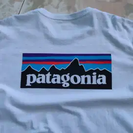 Kaos Patagonia (minor noda/kotor sikit)