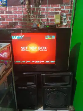 TV 29 Inc Tabung Samsung Model CS29A760SM