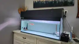 Jual Aquarium lengkap