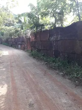 JUAL TANAH  BISA  BUAT PERUMAHAN  DAN  TERNAK