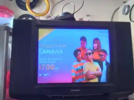 TV SHARP 21 Inch