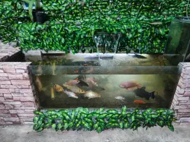 Kolam ikan paket lengkap