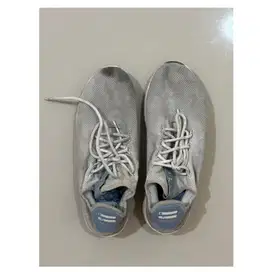 Sepatu Adidas Pharrel Ori Second Bekas