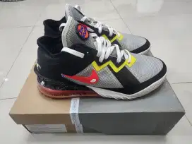 Nike Lebron 18 Sylvester