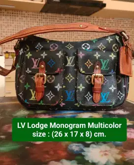 Preloved LV Monogram Lodge munticolor