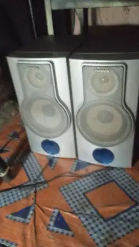 Speaker Aiwa 5 inchi