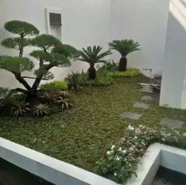 Jasa pembuatan taman kering taman proyek dll #3