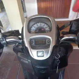 Scoopy Stylish 2018 Matte Brown