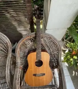 Gitar Akustik Elektrik Cort Earth 50 2018 MIC