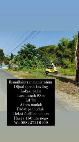 DIJUAL TANAH DI PALUR