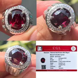 Natural HQ Umbalite Garnet 6.01crt memo CGL