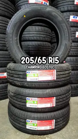 ban baru 205/65 r15 Gt Ecotec