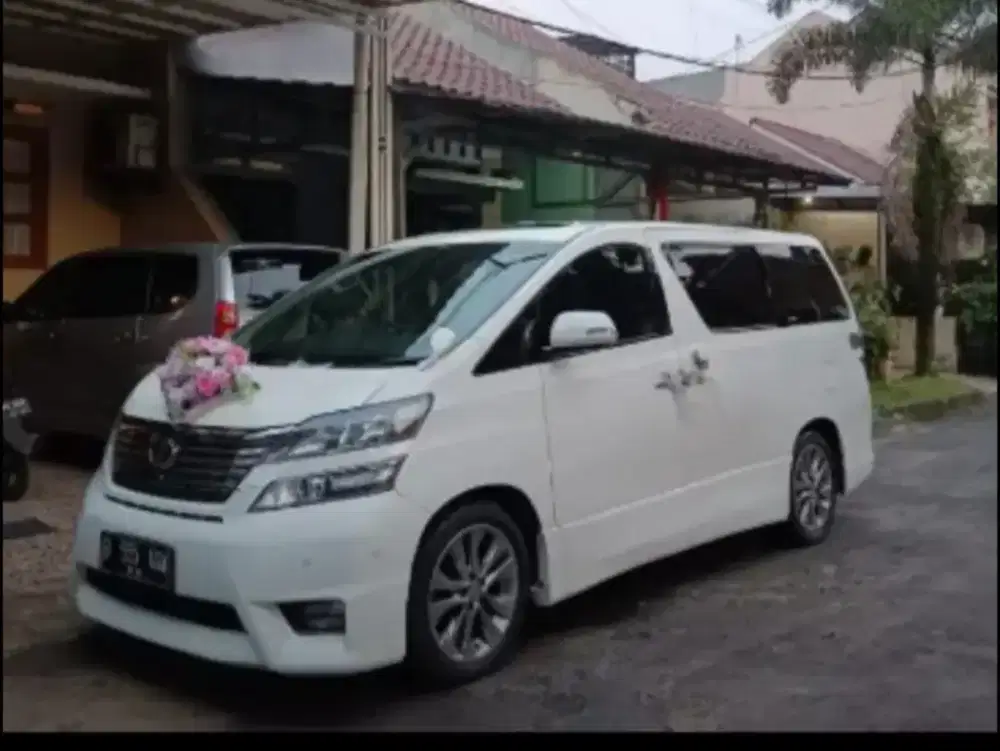 sewa mobil pengantin or rental alphard wedding car mercy