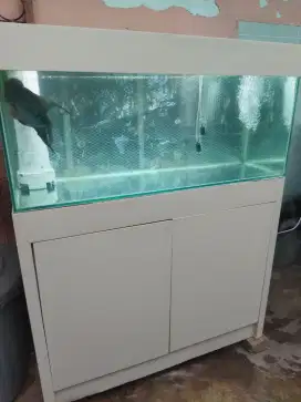 Ikan louhan full set aquarium