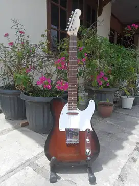 Gitar Model Telecaster Player