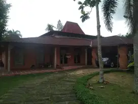 Jual rumah joglo jogja cocok usaha  hotel homestay