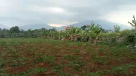 Dijual Tanah Jl alternatif Sukabumi Purwasari