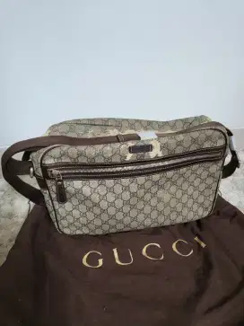 Gucci bag camera case bag 8988
