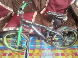 Sepeda Anak Pacific Bekas