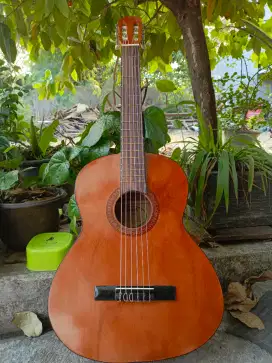 Gitar Akustik Clasic Nilon Yamaha C315 Coklat