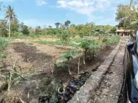 3555m2 SHM Dekat Hotel Santika Wonosari