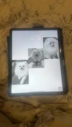 IPAD PRO MULUS MURAH