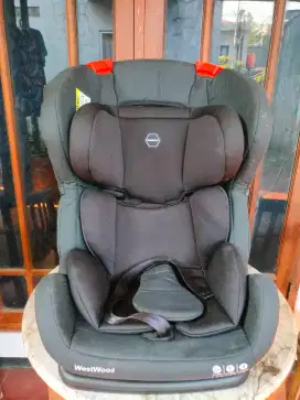 Car seat baby does