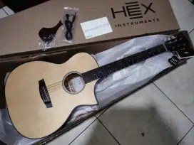 HEX HIVE F100CE M