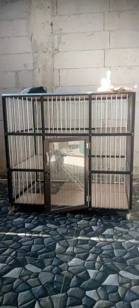 kandang kucing keramik
