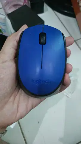 Mouse logitech wireless type M171