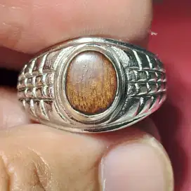 Cincin Kayu Stigi Darat